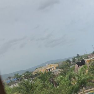 Meet your Posher, Roxanne